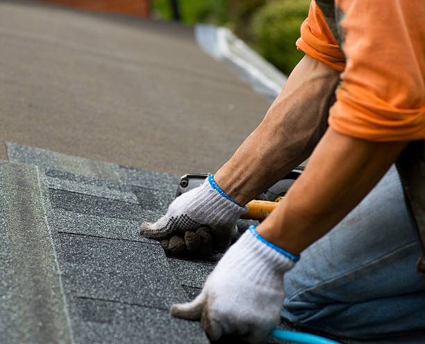 Roof Gutter Cleaning in Spring Grove, MN