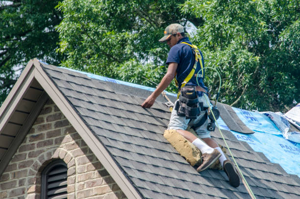 Roof Repair Estimates in Spring Grove, MN